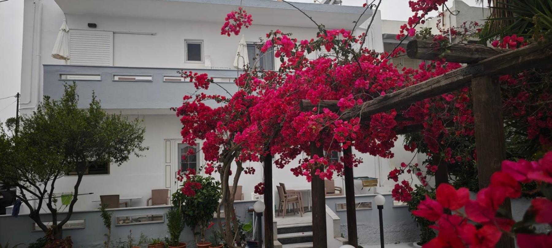 Agrellis Apartments Kos Extérieur photo